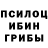 Псилоцибиновые грибы Psilocybe Nurdana Maratqyzy